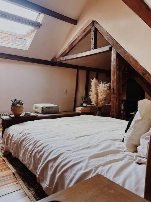 Romantic Unesco Medieval House In The City Center Gante Exterior foto